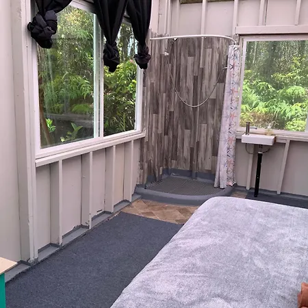 Simply Convenient Tropical Country Studio